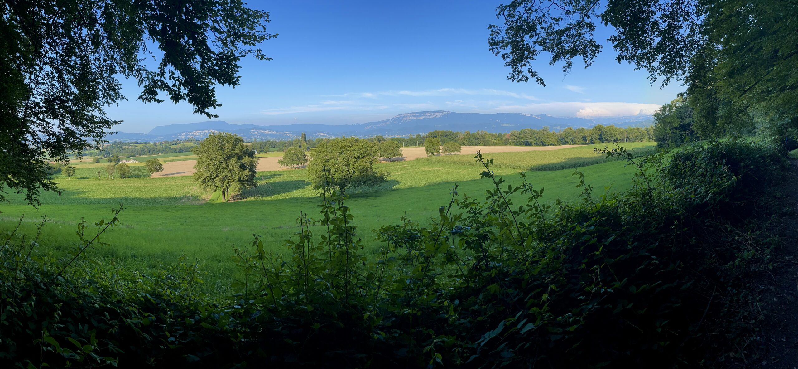 Réussir ensemble pour pressins IMG 6392 Scaled